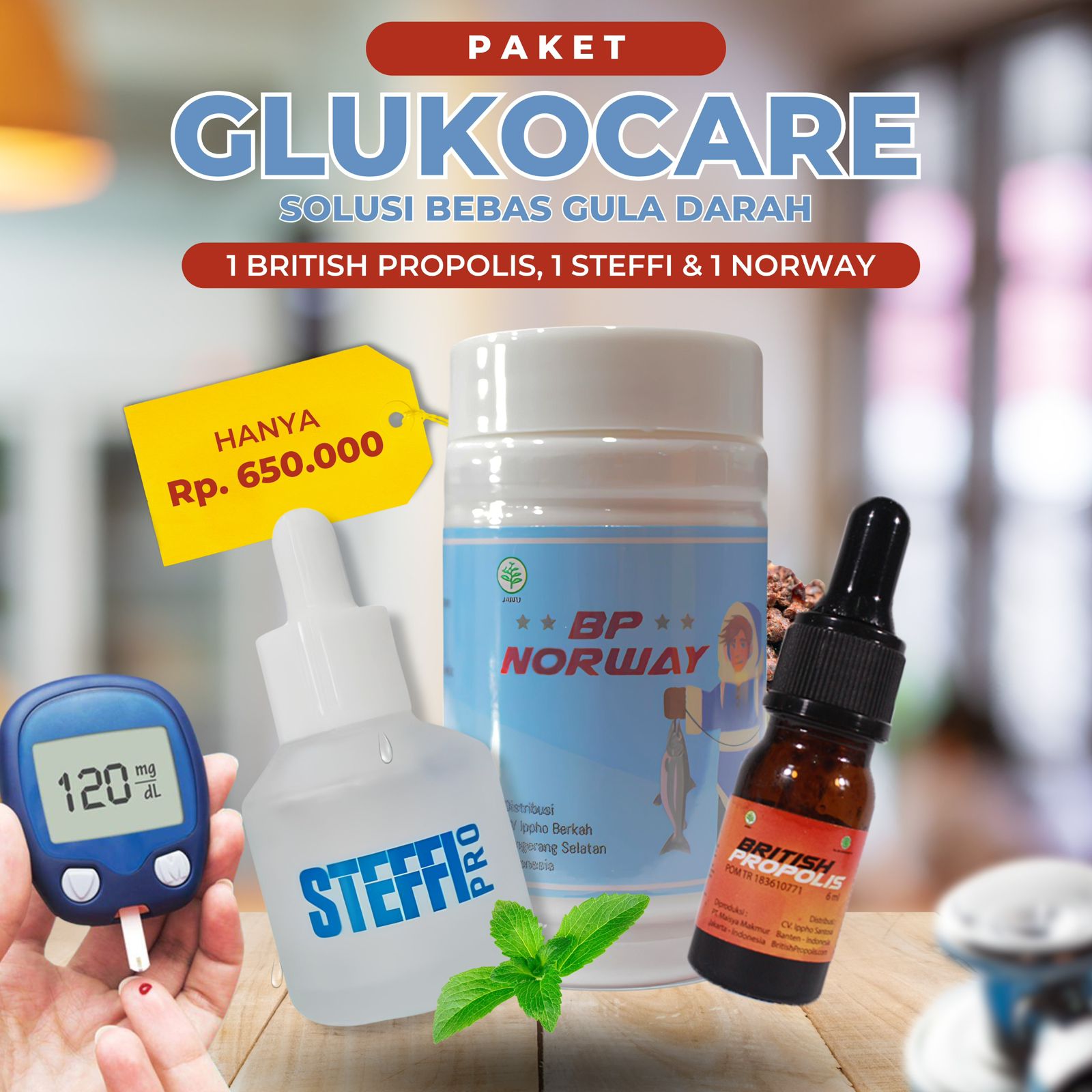 Paket Starter