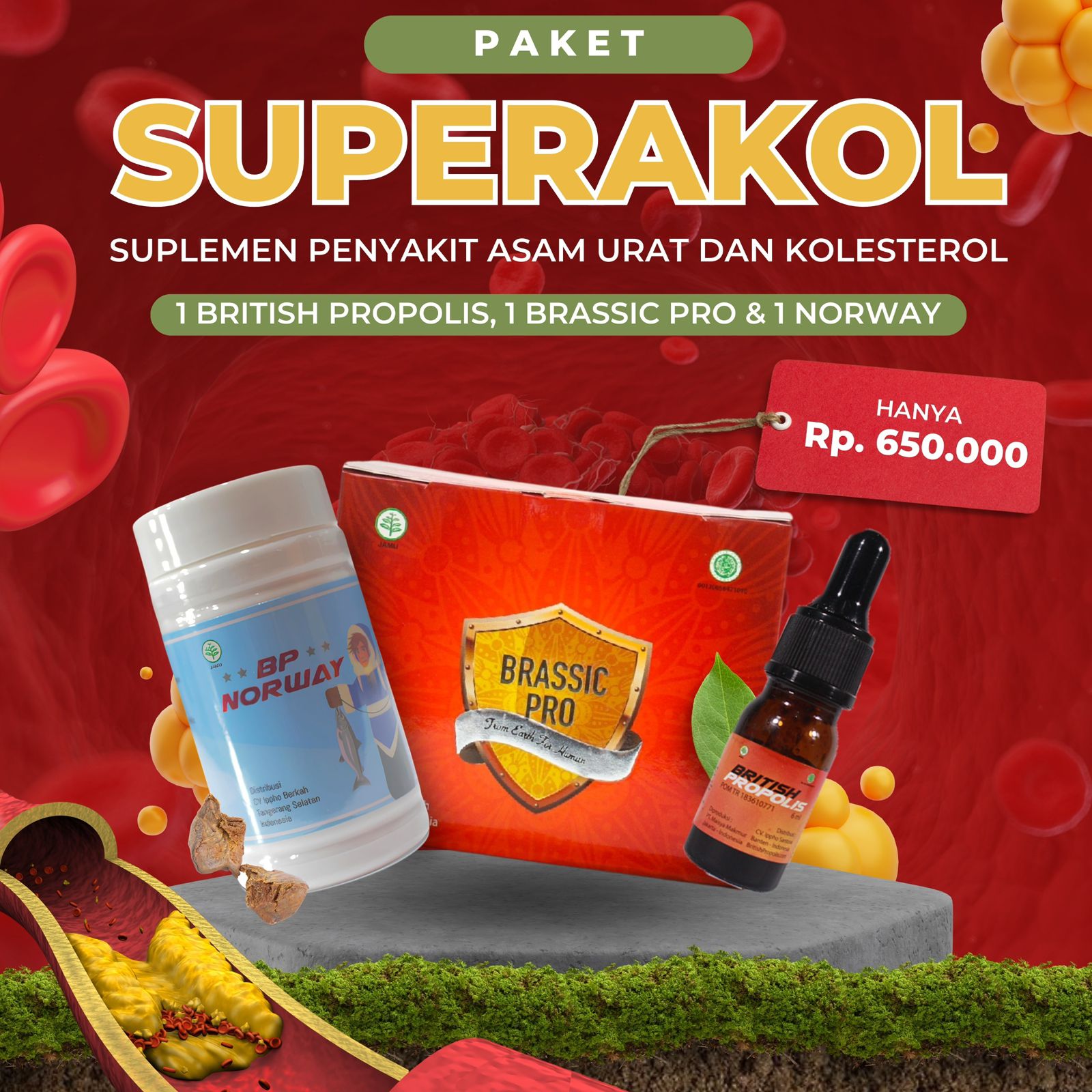 Paket Starter